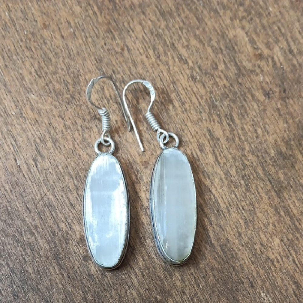 Elegant Silver Oval Earrings